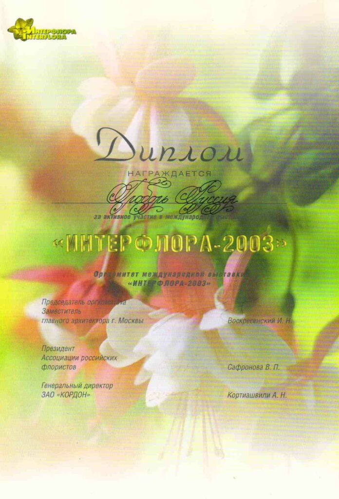 Диплом 39